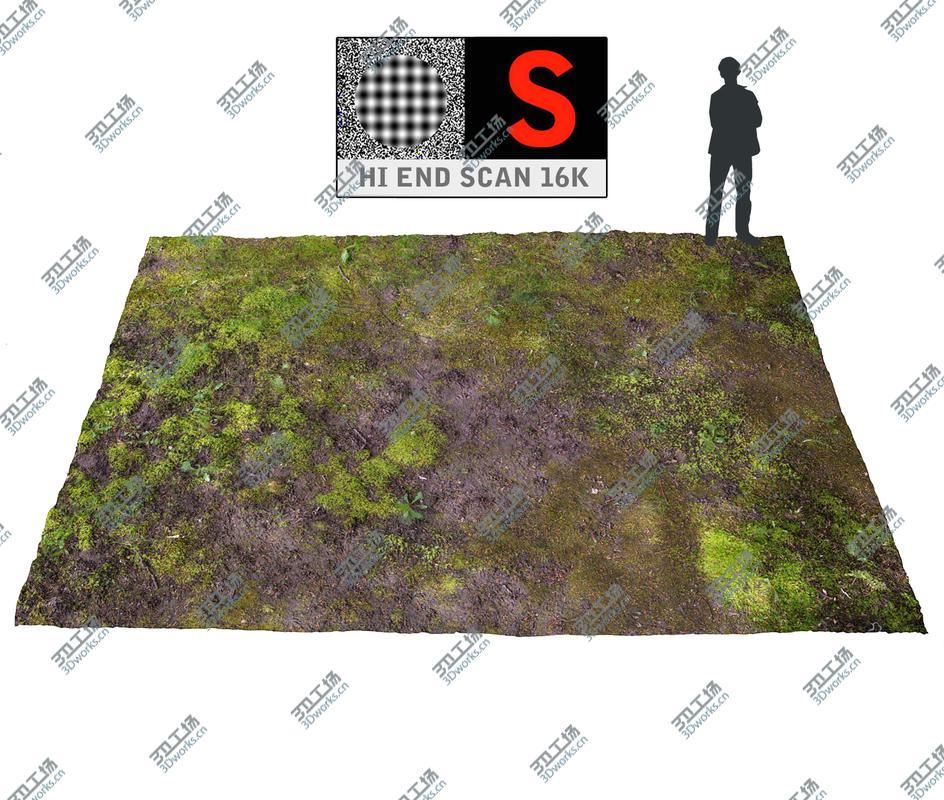 images/goods_img/202104091/Forest ground 16K Ultra HD/1.jpg